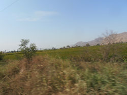 P4110303.JPG