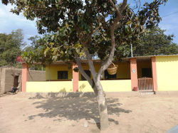 CASA_DE_CAMPO_POBLADOR_DE_LA_CAMPIÑA_DE_CHEPEN_ALTURA_KM_717_PANAMERICAN_NORTE.j