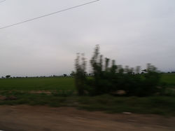 P3290956.JPG