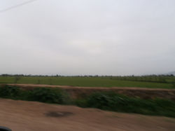 P3290951.JPG