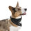 Thumbnail: Stylish Pet Bandana Collar for Pets, Dog Fashion Accessory, Dog Bandana