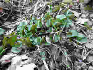 P1050641
