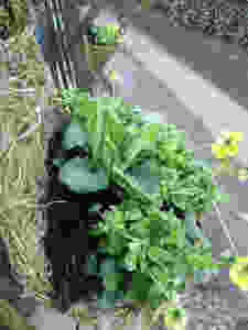 P1050656