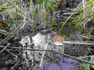 P1050643