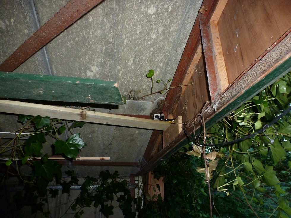 P1070954