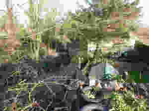 P1050662