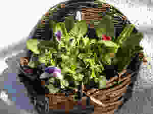 P1050657