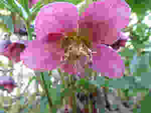 P1050651