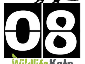 #30DaysWild – Day 8 Wildlife Footage overload at Yew View!