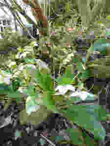 P1050653