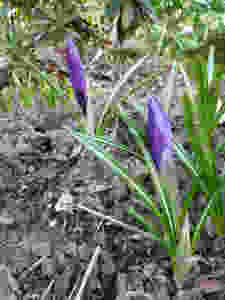 P1050649