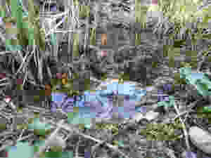 P1050645