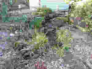 P1050638