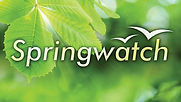 Springwatch.jpeg