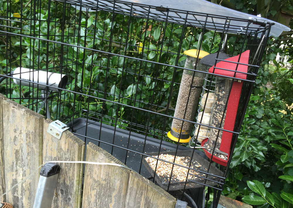 Create a ‘Dog Crate’ Feeding Station