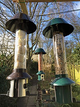 IMG_1705.jpeg