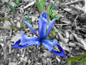 P1050646