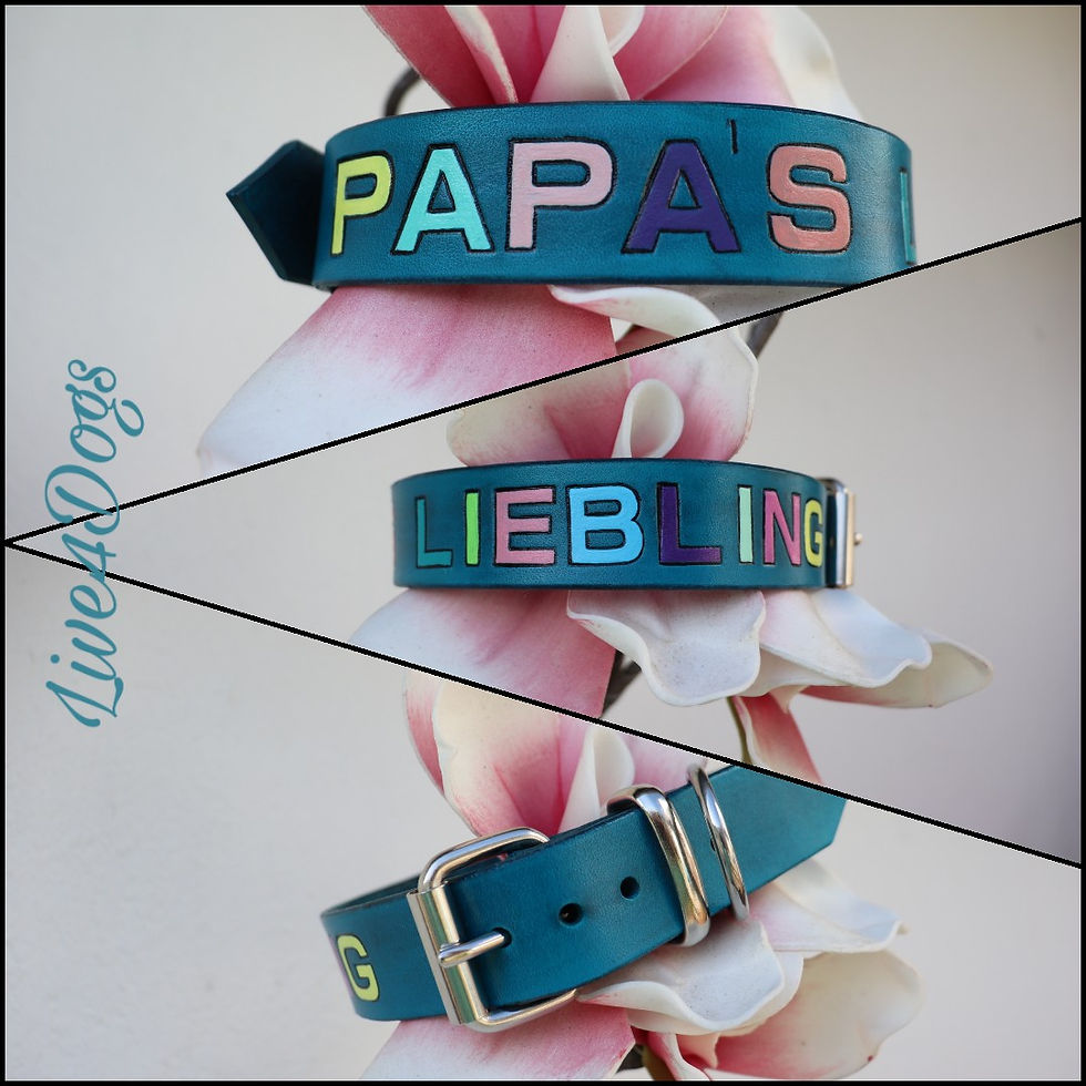 Miniaturbild: Colour your Name (ungepolstert)