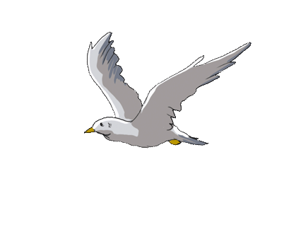 Eine fliegende Möwe