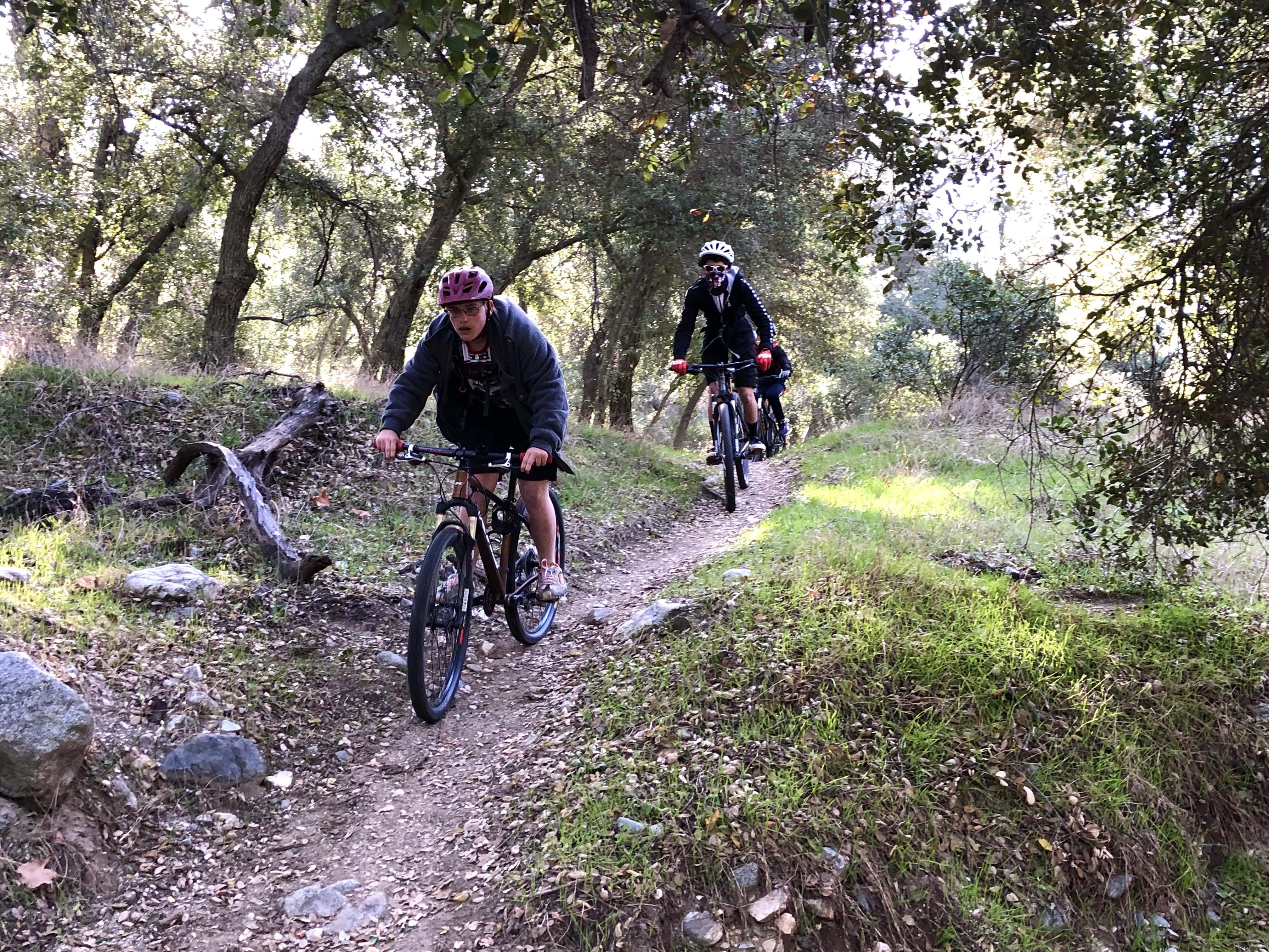 1A662836-A9A7-4FBC-B110-61A3BC191520