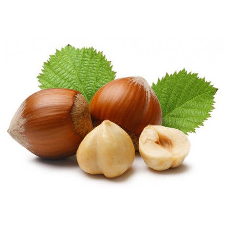 GÂTEAU AUX NOISETTES D’URSULA           