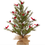 Thumbnail: Cardinal Tree in Burlap bag