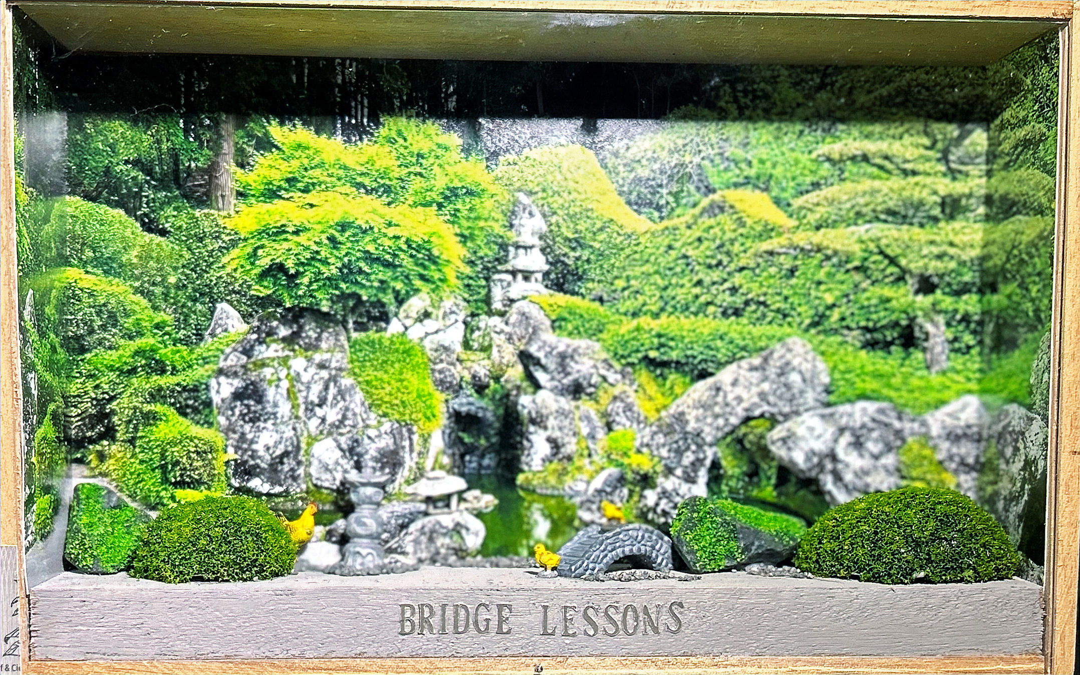 Bridge Lessons