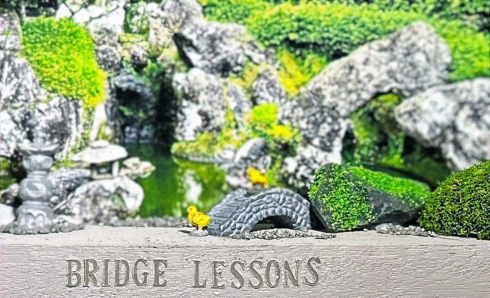 Thumbnail: Bridge Lessons