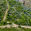 Thumbnail: KAŞ PATARA (GELEMİŞ) 527 M2 2B MUHTEŞEM ARAZİ