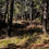 Thumbnail: KAŞ PATARA (GELEMİŞ) 527 M2 2B MUHTEŞEM ARAZİ