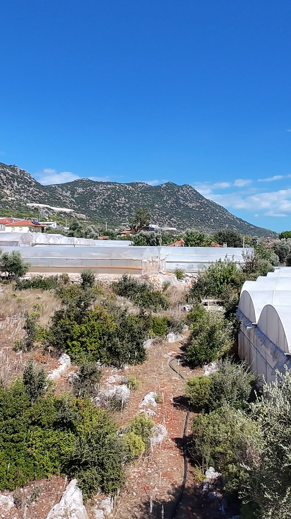 Миниатюра: ANTALYA DEMRE ÇEVRELİ SATILIK 720 m2 KÖY İÇİ ARSA,