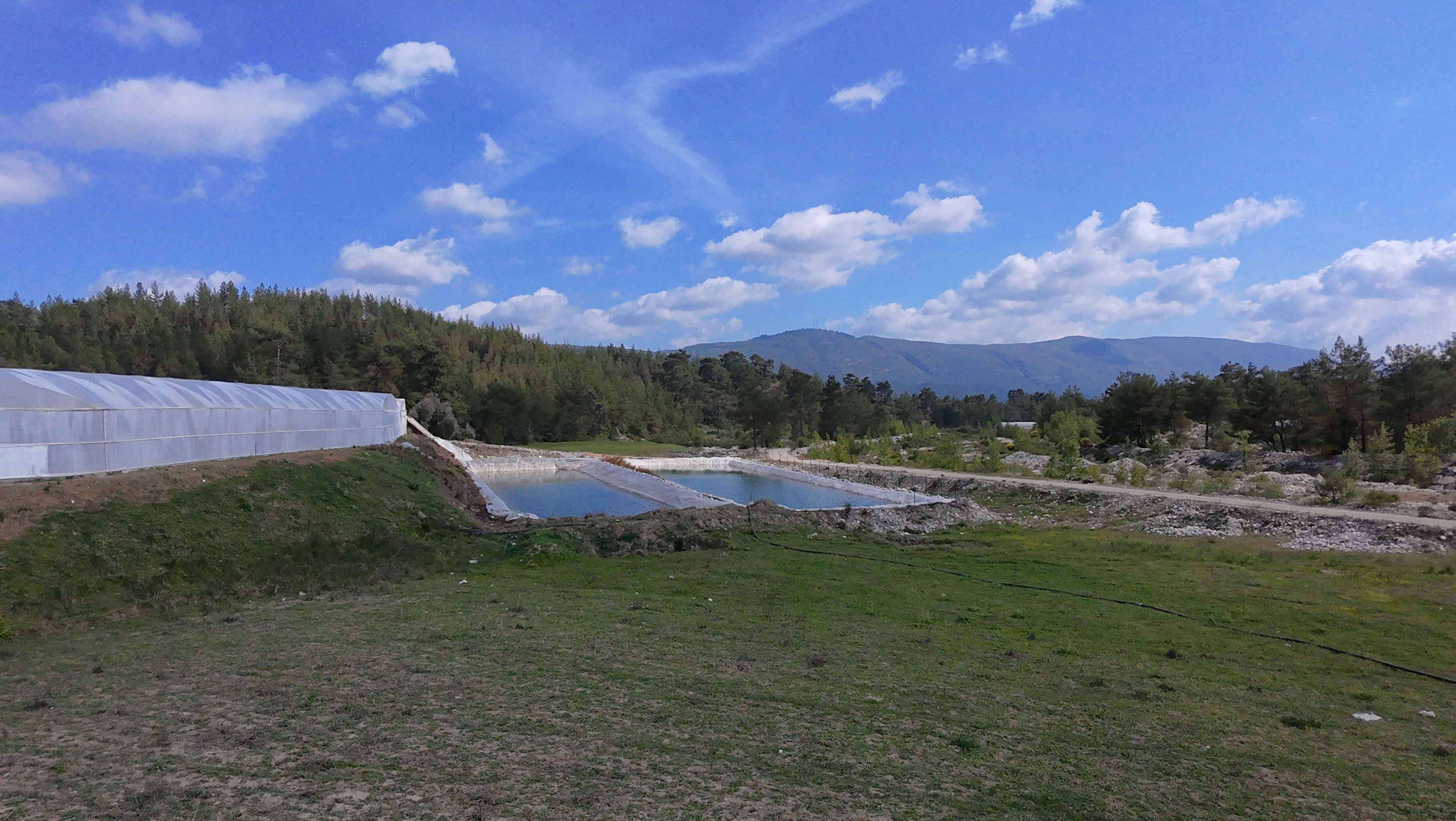 ANTALYA KAŞ DİRGENLER SATILIK 2903 m2 SERA ARAZİSİ