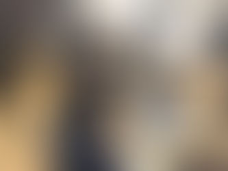 Positive Futures with Bridgehall