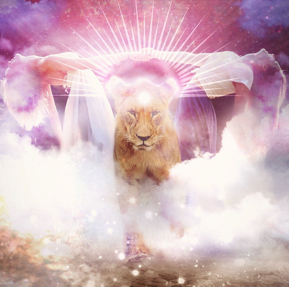 Lioness´ Gate - 8.8.2025