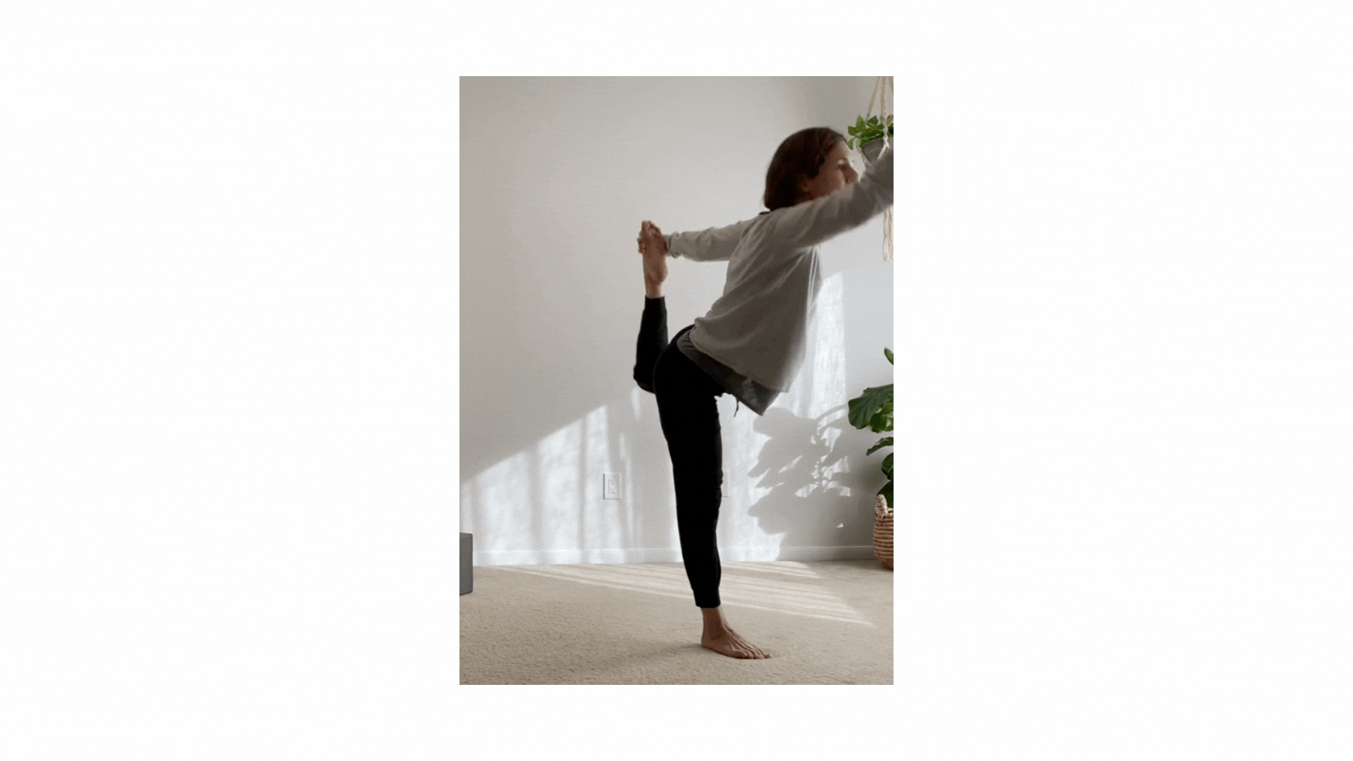 Untitled design.gif