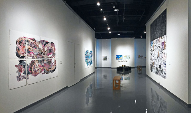 SPARTANBURG ART MUSEM: Land/Lines: on NOW until November 5th 2018