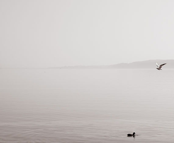 Fotografin_Schleswig-Holstein_Ostsee.jpg