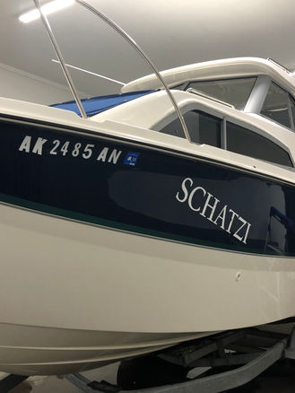 This Bayliner came in for a full polish, buff, and wax to enhance the appearance.