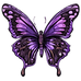 BLACK AND PURPLE BUTTERFLY.png