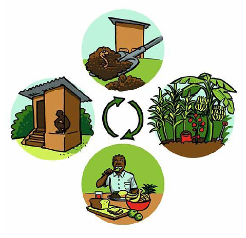 Eco San Doc illustration3 1024_1.png