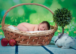 צילום ניו בורן