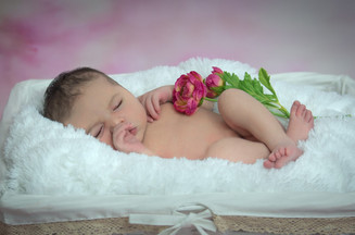 צילום ניו בורן