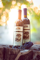 צילום מוצרים למיתוג. יקב שמשון ודלילה