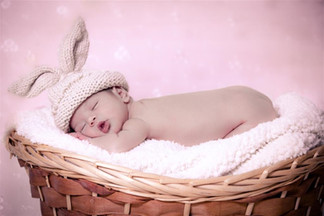 צילום ניו בורן