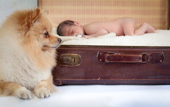 צילום ניו בורן