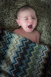 צילום ניו בורן