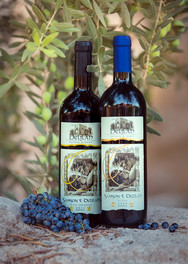 צילום מוצרים למיתוג. יקב שמשון ודלילה