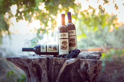 צילום מוצרים למיתוג. יקב שמשון ודלילה