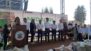 Declaran el primer domingo del mes de agosto de cada año, como “El Día del Adobo de Cerdo”