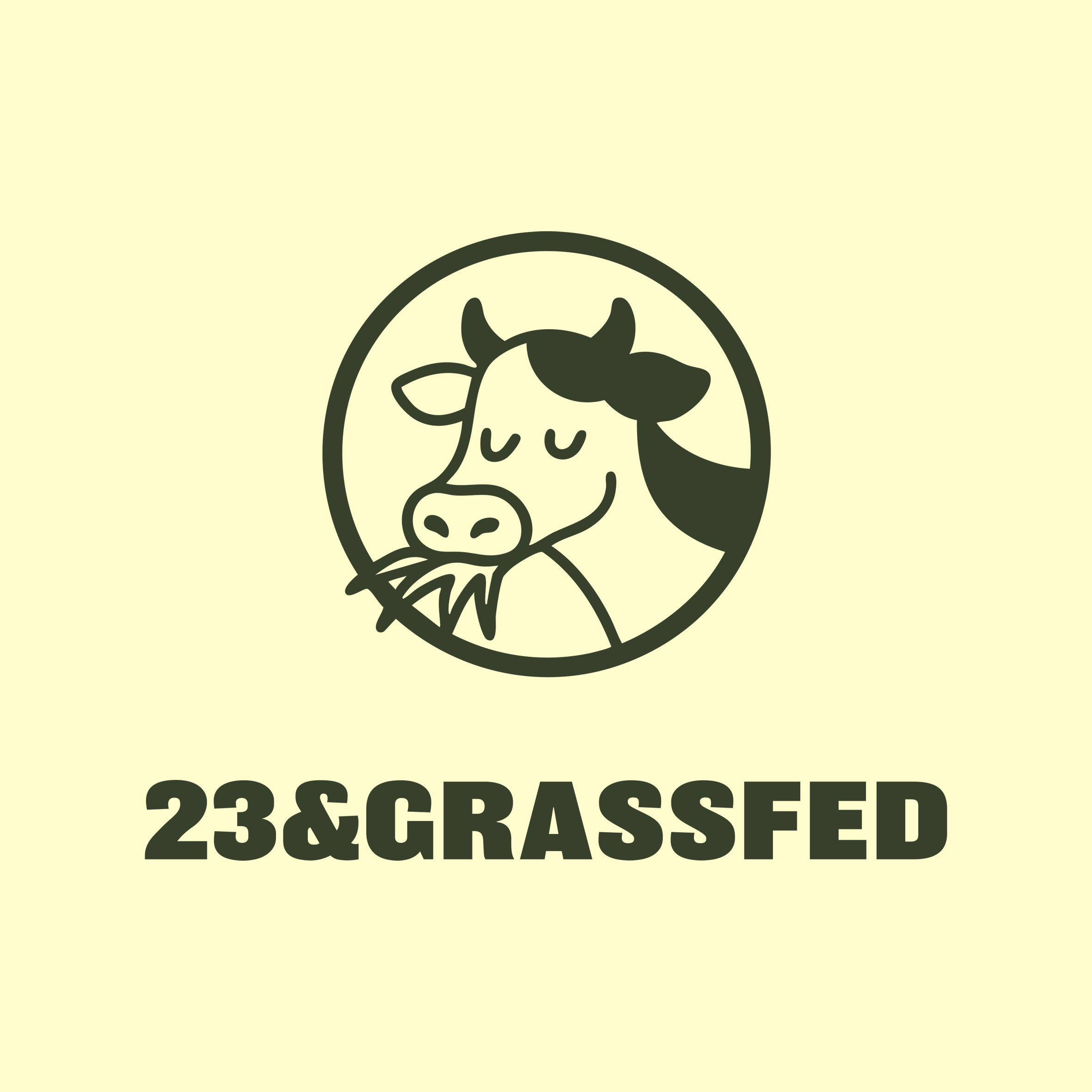 Arranged Food and Objects